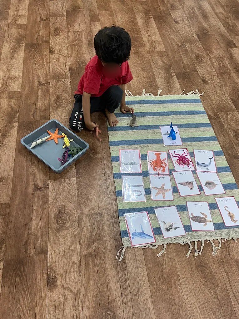 Matching sea animals to their names