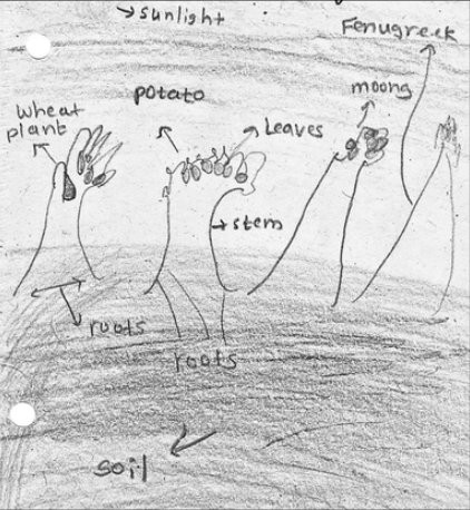 Seed journal. Primary, fourth year